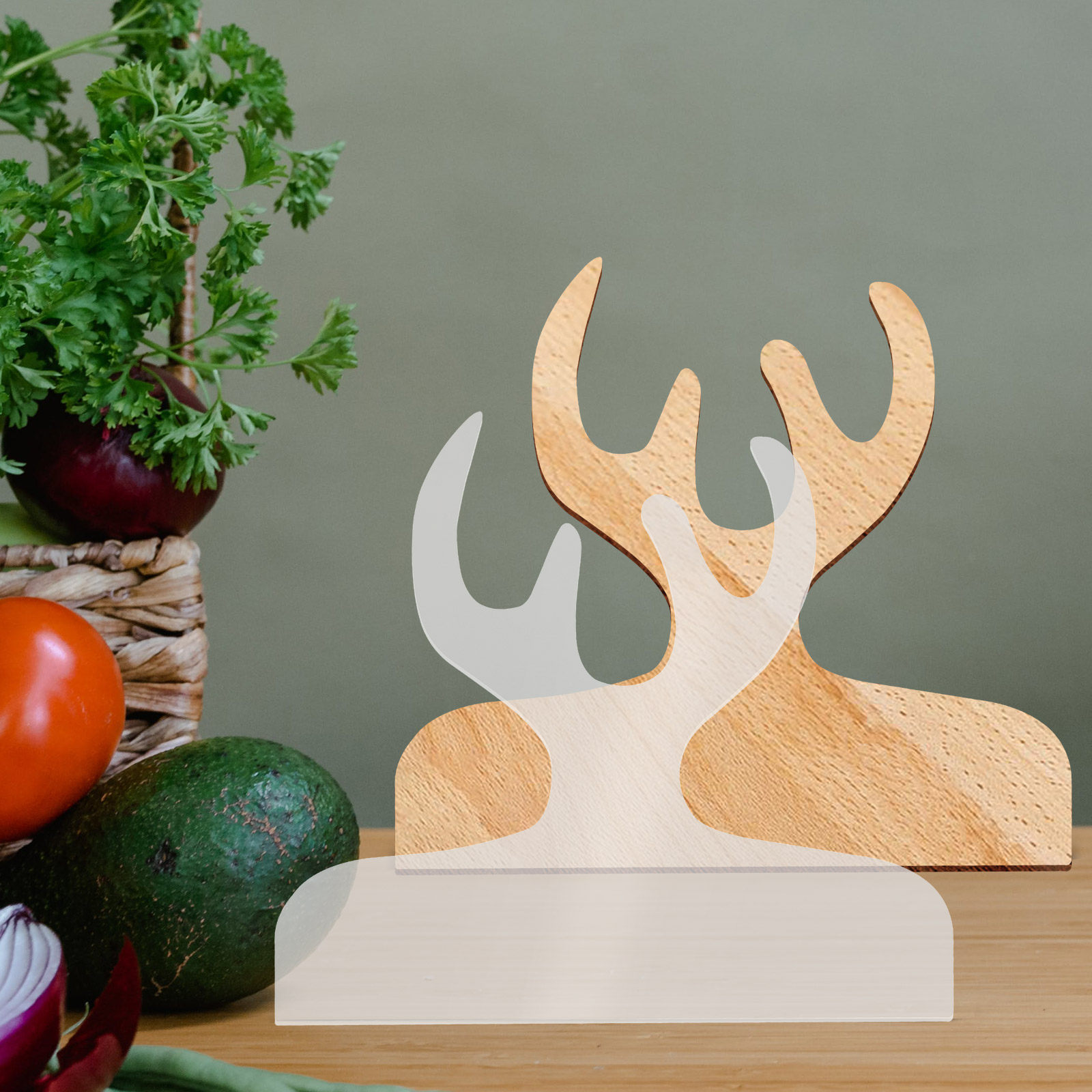 قالب أكريليك شفاف ومتين لمقابض - مراجعة Kitchen Gadgets Guide وسعره